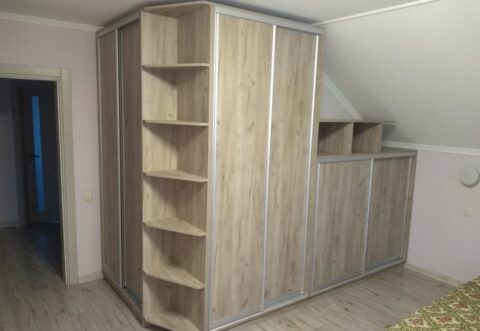 Эконом Шкаф Купе